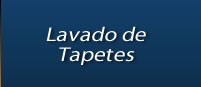 03-lavado_de_tapetes